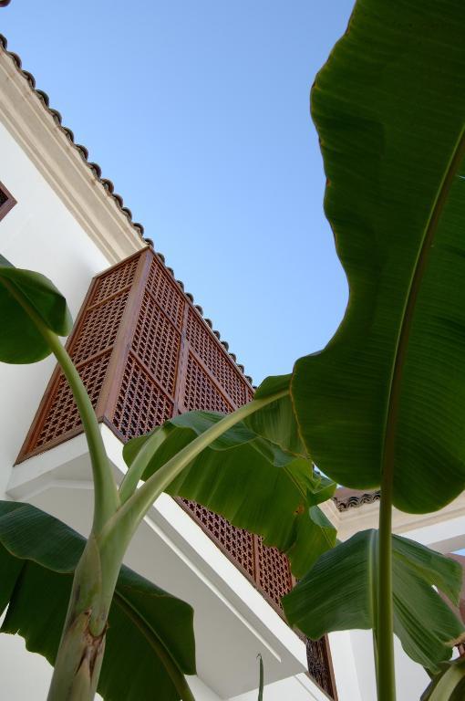 Riad Up Marrakesh Eksteriør billede